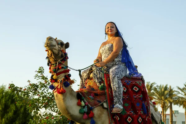 Jewish Woman Cape Her Head Rides Camel City Street Backdrop — Stock Photo, Image