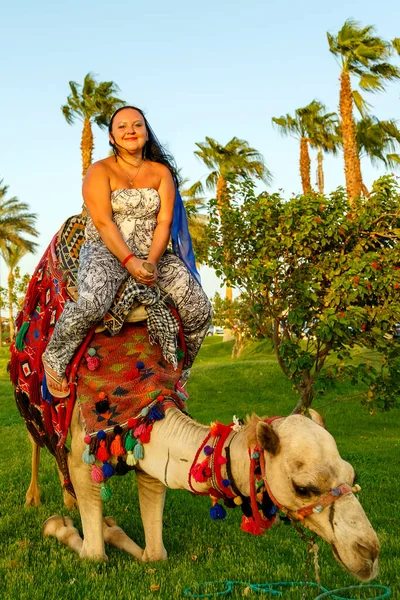 一个头戴斗篷的女人紧紧抓住躺在草地上的骆驼 靠着棕榈树的背景 垂直照片 — 图库照片