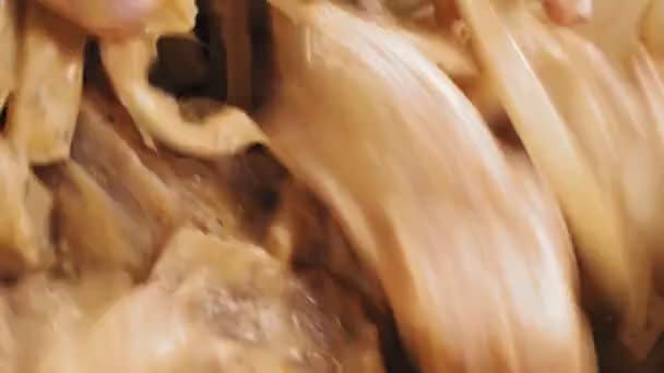 Les mains des femmes mélangent des morceaux de poulet dans des épices et de la marinade dans un plat — Video