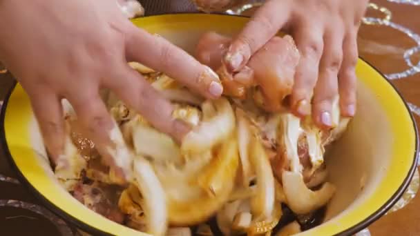Kvinnors händer blandar kyckling bitar i kryddor och marinad i en skål — Stockvideo