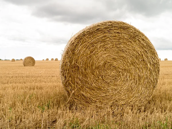 Hay Rolls in field — Stock Photo, Image