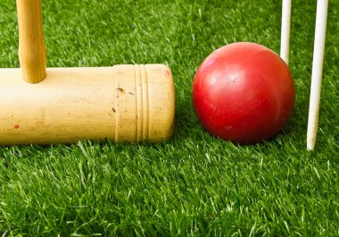 arka bahçede kriket oyunu