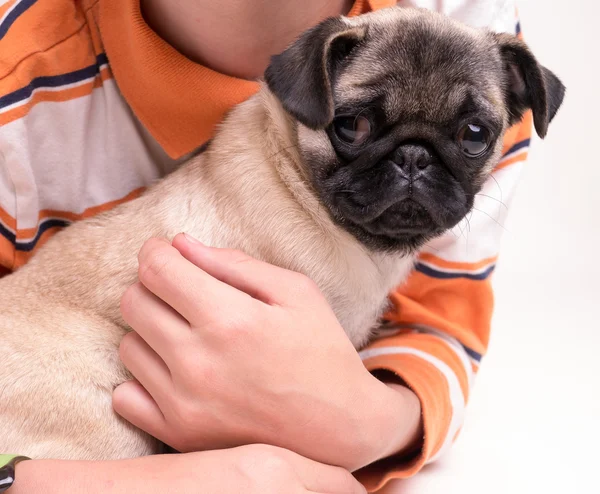 A boy and his dog — Stock Photo, Image