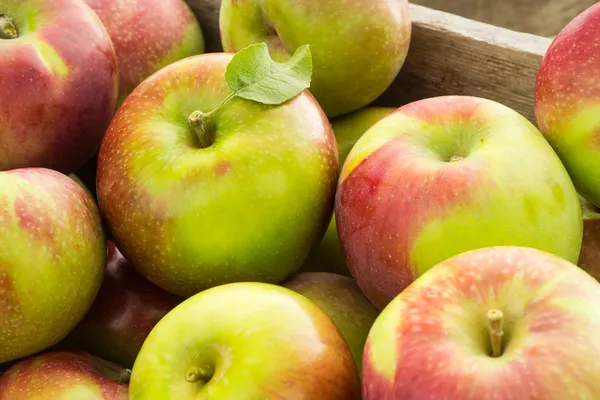 Fresh picked Apples — Stock Photo, Image