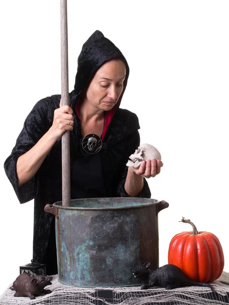 Halloween scen med häxa, pumpa, skalle, råttor — Stockfoto