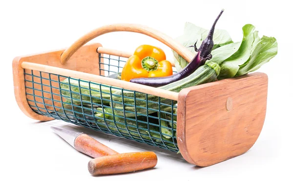 Panier de légumes de jardin fraîchement cueillis — Photo