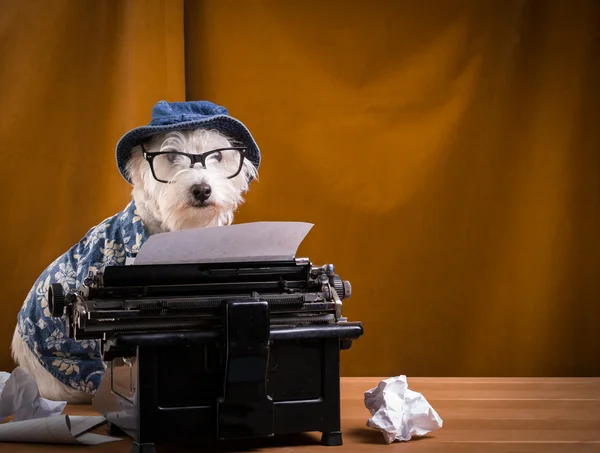 Собака-журналист на пишущей машинке — стоковое фото