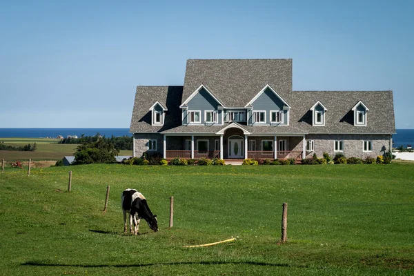 Suburban Sprawl — Stock Photo, Image