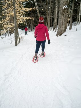 kış orman snowshoeing