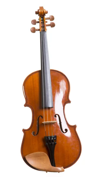 Violin musical stringed instrument — Stock Photo, Image