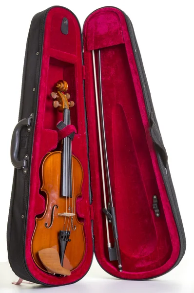 Violin musical stringed instrument — Stock Photo, Image