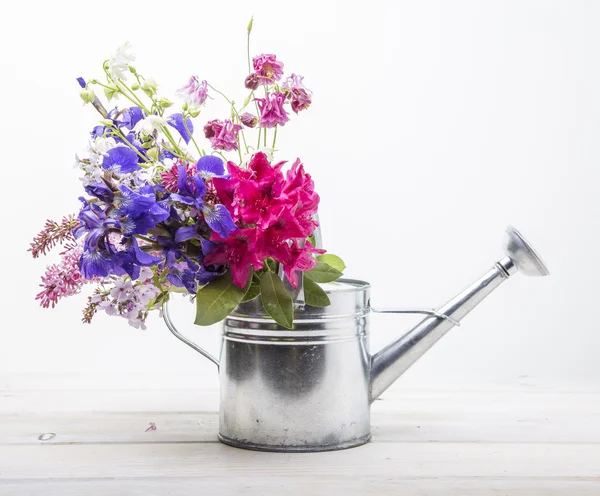 Fresh picked flowers in watering can — Stock Photo, Image