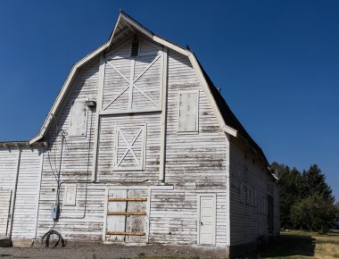 eski beyaz barn Montana