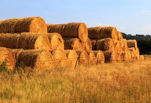 Hall Rolls — Stock Photo, Image