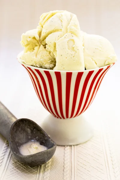 Vanilla Bean Ice Cream — Stock Photo, Image