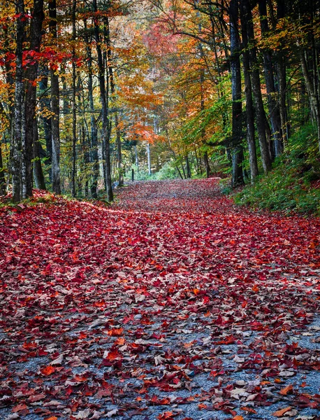 Fall Foliage in Thetford Vermont — Stock Photo, Image