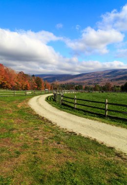 sonbaharda Farm road