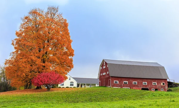 Gård landskap med hösten bladverk Stockbild