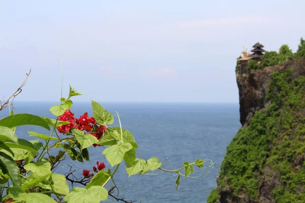 Uluwatu Tempel Van Bali Bloemen Genomen Januari 2022 — Stockfoto