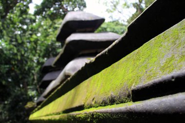 Alas Kedaton 'un etrafındaki tapınak yapısına yosun yakın plan. Ocak 2022 'de çekildi..