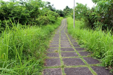 Ubud 'da Campuhan Koşu pisti, salgın nedeniyle boş. Ocak 2022 'de çekildi..