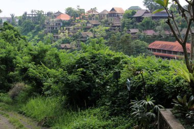 Campuhan Tepesi 'nin diğer tarafındaki villalar. Ocak 2022 'de çekildi..