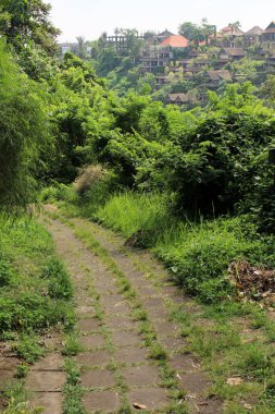 Campuhan sırtı boyunca uzanan villalar. Ocak 2022 'de çekildi..