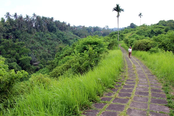 Campuhan Hiking Track Ubud Empty Due Pandemic Taken January 2022 — Stock Photo, Image