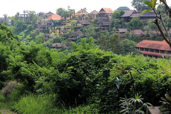 Villas Other Side Campuhan Ridge Walk Taken January 2022 — Stock Photo, Image