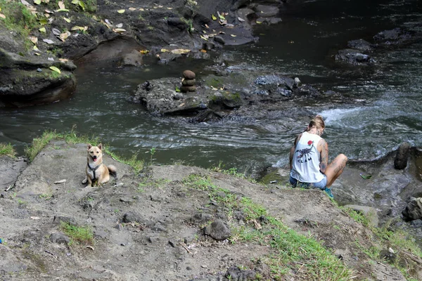 Иностранцы Собака Медитируют Вокруг Реки Гунунг Леба Рядом Кампухан Убуд — стоковое фото