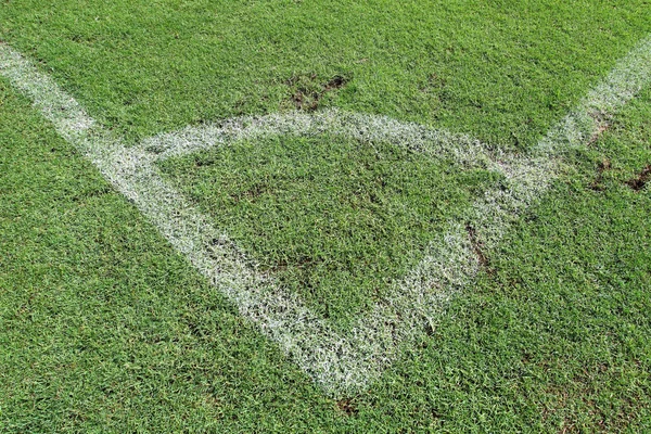 Grama verde, campo de futebol — Fotografia de Stock