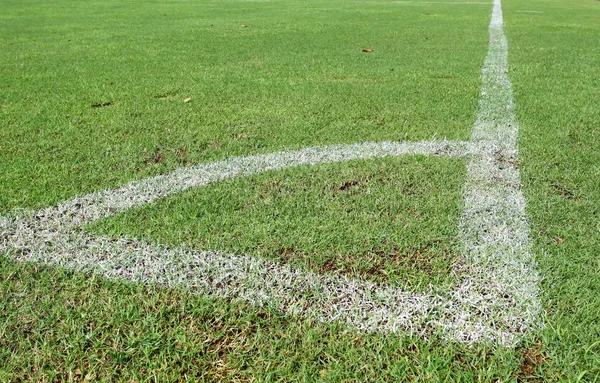 Green grass, soccer field — Stock Photo, Image