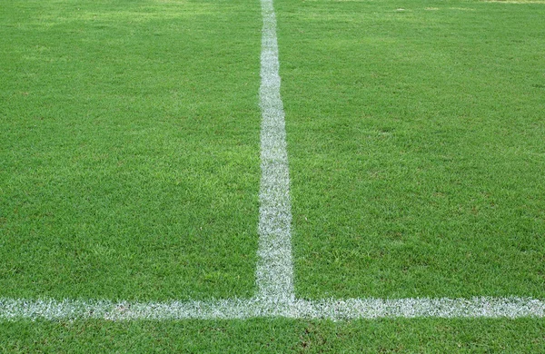 Зеленая трава, футбольное поле — стоковое фото