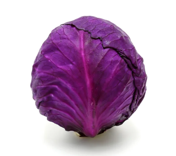 Fresh red cabbage on a white background — Stock Photo, Image