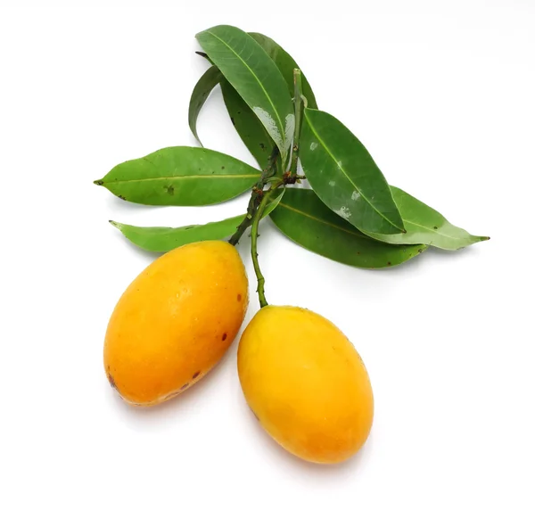 Exotiska thailändska frukter. Maprang, marian plommon, gandaria, marian mango, — Stockfoto