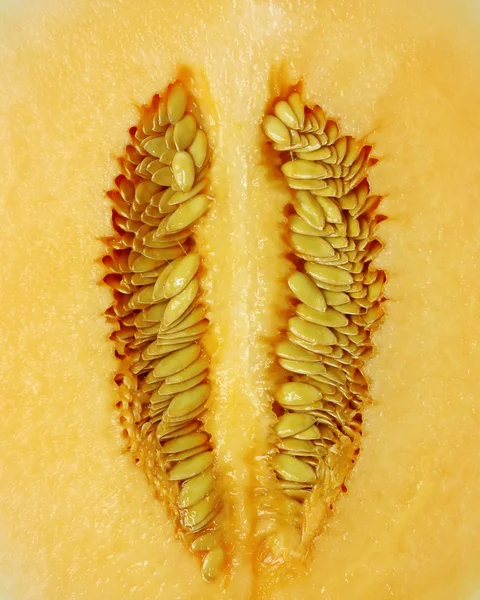 Detailní záběr na oranžové meloun — Stock fotografie