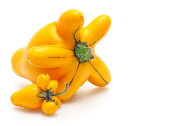 Solanum mammosum roślin, reprezentujących szczęśliwych symboli w chińskich ne — Zdjęcie stockowe