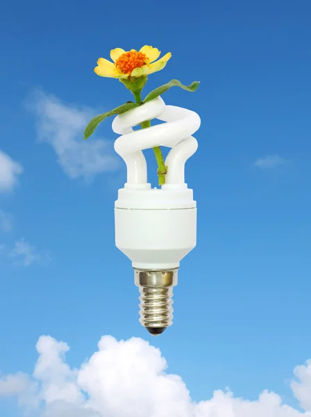 Ampoule à économie d'énergie et fleur dans le ciel — Photo