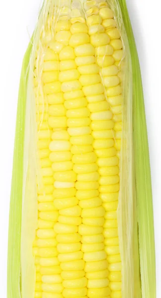 Corn on white background — Stock Photo, Image