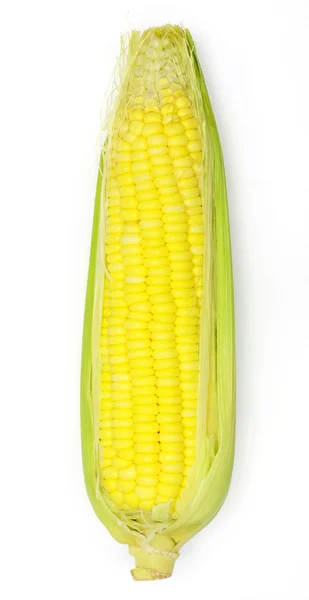 Corn isolated on white background — Stock Photo, Image