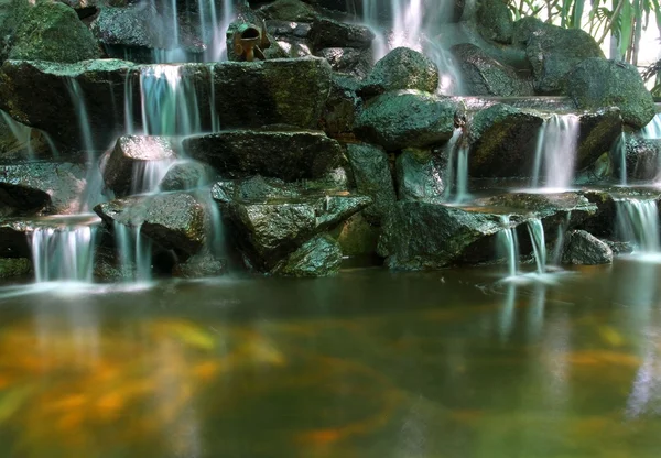 热带锦鲤池与瀑布 — 图库照片