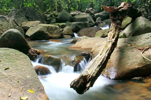 Cachoeira no mercado tailandês — Fotografia de Stock