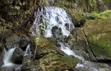 Phangnga Tayland 'da Şelale