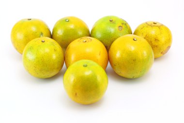 beyaz arkaplanda mandalina