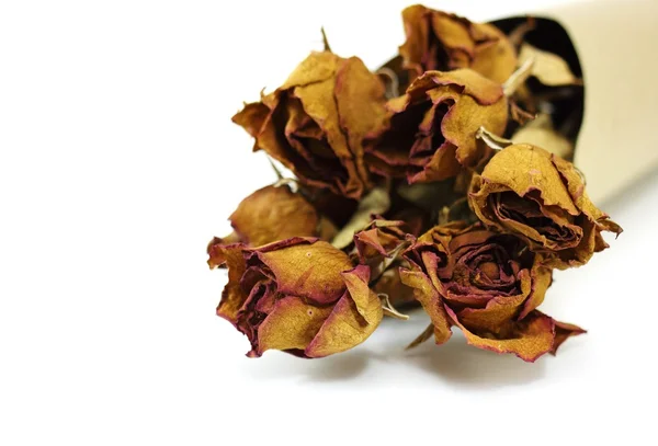Sušené růže izolovaných na bílém pozadí — Stock fotografie