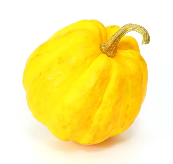 Pumpkin żółty — Zdjęcie stockowe