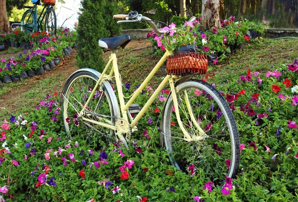 Vecchia bicicletta con fiori nel cestino anteriore, parcheggiata nel cortile — Foto Stock