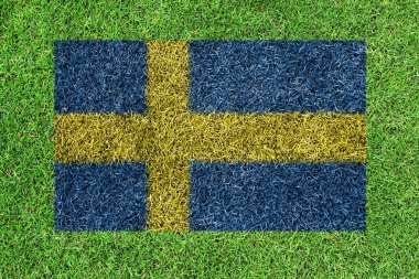 Yeşil çimenlerin üzerinde bir resim olarak İsveç bayrağı