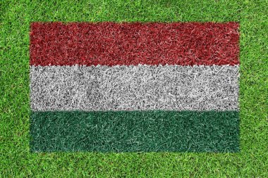 Yeşil çimenlerin üzerinde bir resim olarak Macaristan bayrağı