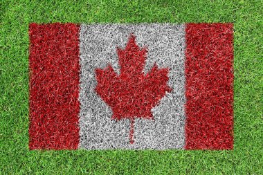 Yeşil çimenlerin üzerinde bir resim olarak Kanada bayrağı